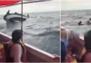Lancha turística volcada en Santa Marta por fuerte oleaje: todos rescatados gracias a los chalecos salvavidas
