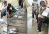 Embarcación con diez niños se hunde en el río Atrato: todos salieron ilesos, pero el material escolar fue arrastrado