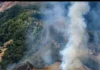 Incendio subterráneo consume el Bosque de Galilea, refugio vital del oso de anteojos en el Tolima