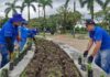 300 NUEVAS PLANTAS ORNAMENTALES DAN VIDA A LOS JARDINES DEL PARQUE LOS FUNDADORES
