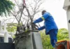 Galapa: 14 transformadores ilegales de plástiqueras generan deuda millonaria y cortes en barrios vulnerables