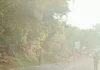 Atentado con Vehículo Bomba en Panamericana deleja Tres Heridos en Cauca: Fuerzas Armadas atienden la crisis en el peaje de El Bordo