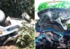 Meta: Cuatro muertos y quince heridos en grave accidente de tránsito que involucra un autobús municipal