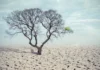 Líderes del Caribe trazan hoja de ruta integral para mitigar los efectos de El Niño