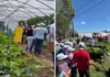 Italia impulsa la agricultura del Cauca con fondos para conquistar los mercados europeos