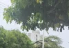 Emergencia climática en el Caribe: Santa Marta declara alerta roja y Cartagena aplaza acto con el presidente por lluvias torrenciales