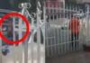 Conductor rescatado de la corriente en San Fernando: fuertes lluvias generan emergencia vial en Cartagena